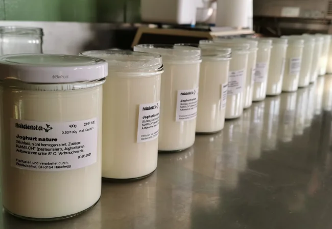 Joghurt vor der Fermentation