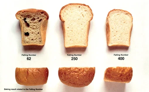 FN_ApplicationsBread_AnnanStorlekw508px