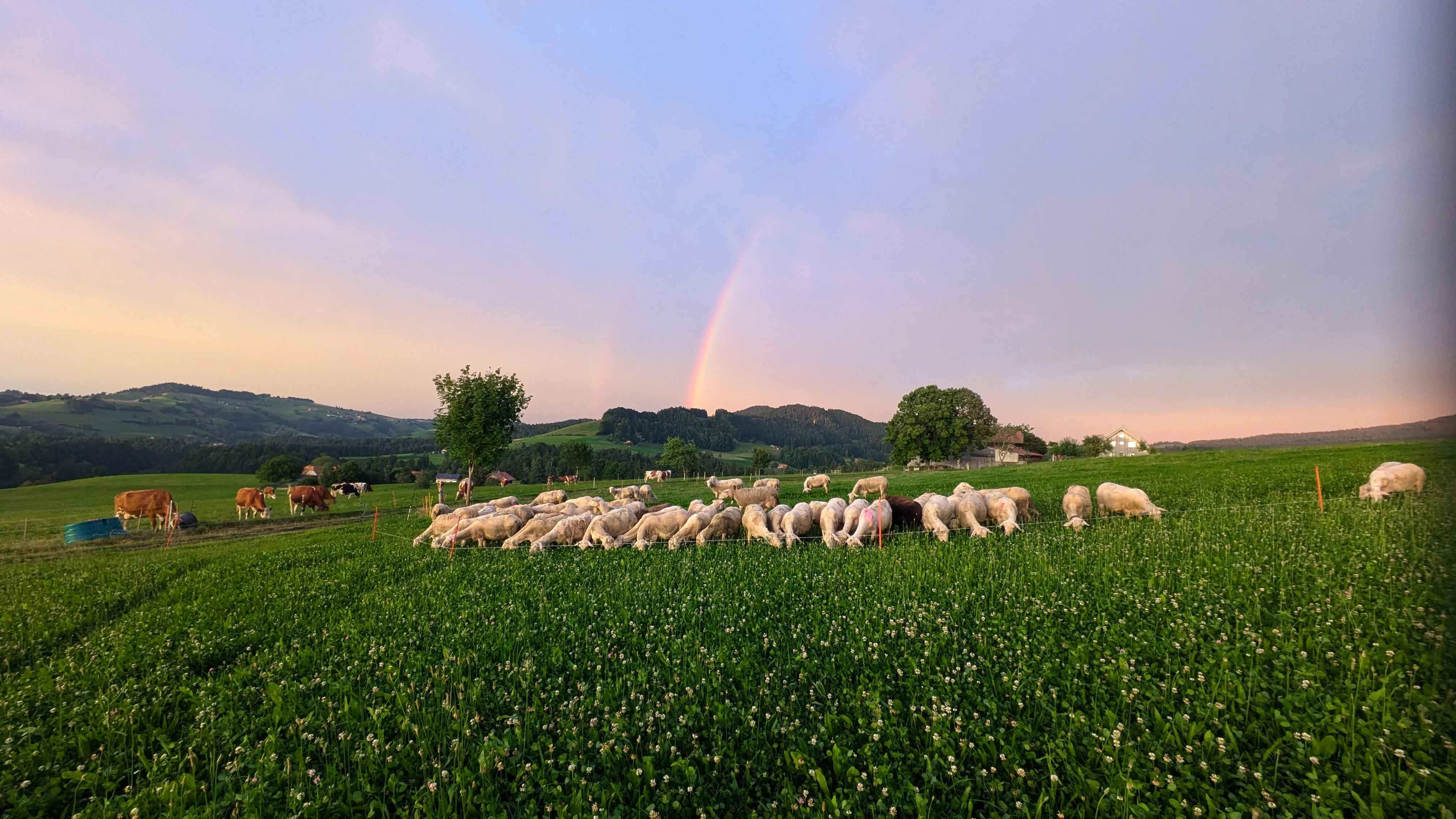/user/media/Riedackerhof_Regenbogen_weit.webp