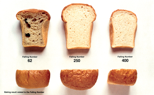 FN_ApplicationsBread_AnnanStorlekw508px