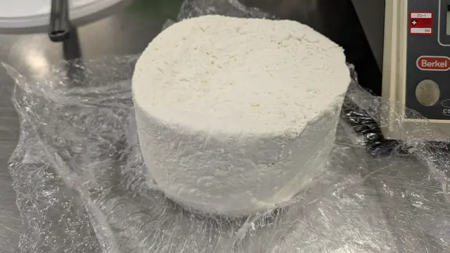 Schafricotta und Alpenscha(r)f