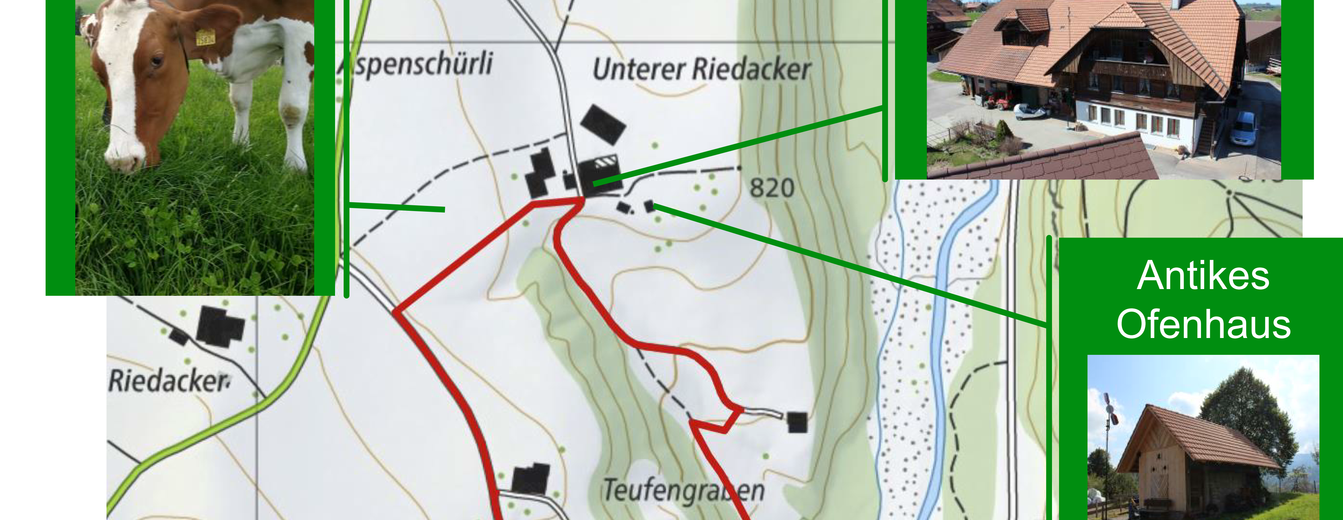Der Weg zur Weidemilch